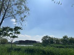 -天津东丽湖风景区