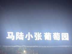 -马陆小张葡萄园农家乐