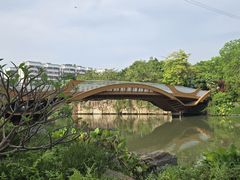 -光明港公园