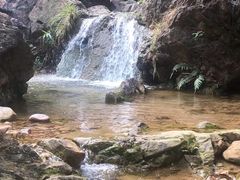 -南海湾森林生态园