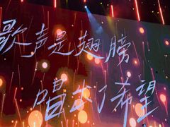 -深圳市宝安体育中心体育场