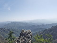 -王顺山国家森林公园