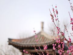 -三里河公园