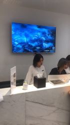 -YESIDO椰岛造型
