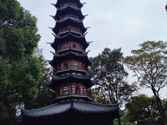 -上海佘山国家森林公园西佘山园