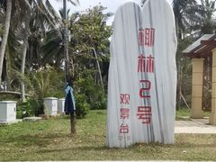 -东郊椰林