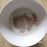 牛奶西米露不仅可以调理脾胃还可以补钙