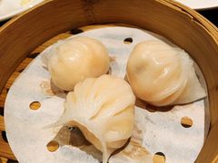 虾饺-万荟轩海鲜·粤式点心自助餐厅(蓝海风万怡酒店)