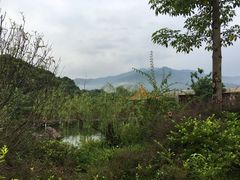 -龙山酒店温泉