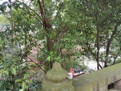 -都江堰普照寺