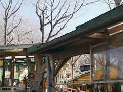 -宫城藏王狐狸村