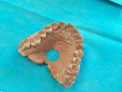 -南方医科大学第三附属医院