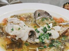 -海晖酒楼·顺德鱼生(荣华店)