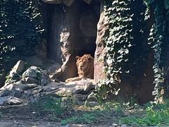 -北京动物园