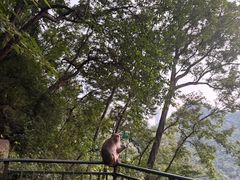 -黔灵山公园-南门售票处