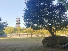 -上海方塔园