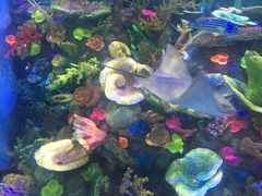 -成都浩海立方海洋公园