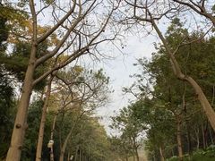 -云溪植物园