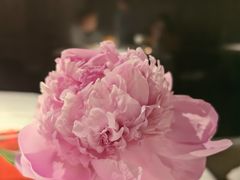 -许家菜(DT51店)
