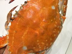-北塘海鲜·天津菜(大光明桥旗舰店)