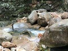 -祁门牯牛降观音堂风景区