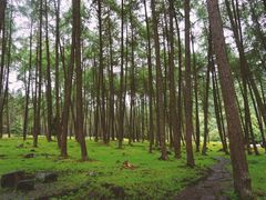 -硗碛藏寨·神木垒景区