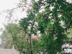 -龙潭水乡