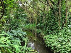 -海南热带野生动植物园