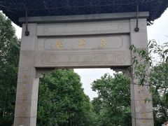 -雨花胜境