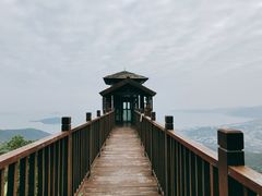 -三亚亚龙湾人间天堂鸟巢度假村