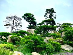 -罗红摄影艺术馆