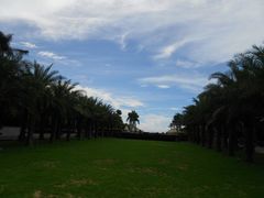 20-三亚海棠湾万丽度假酒店