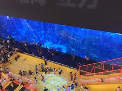 -成都浩海立方海洋公园