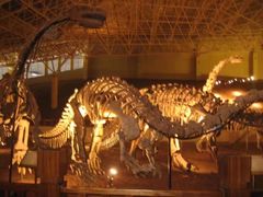 -世界恐龙谷景区