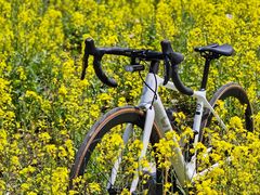 -西山漾湿地公园