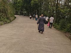 -庐山风景名胜区-东林大佛