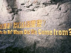 -国家自然博物馆