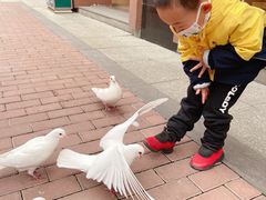 -王府井奥莱临潼小镇(临潼店)