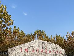 -上海海湾国家森林公园