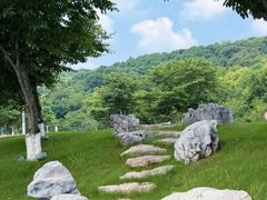 -羊山湖公园