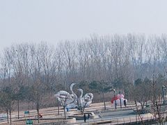 -东郊湿地公园