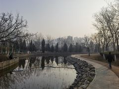 -绿岛公园(滨海新区)