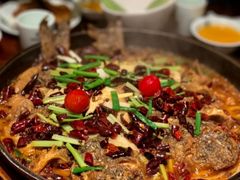 长江鮰鱼-老板恋上鱼(恒隆广场店)