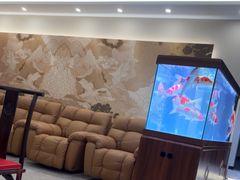 -比格比萨自助(花园路店)