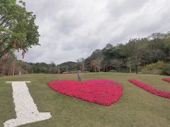 -云溪植物园