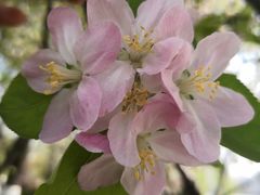 -必胜客(南湖宅急送店)