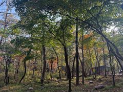 -玉渡山自然风景区