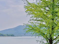 -苏州太湖国家湿地公园