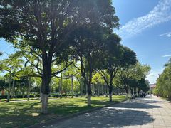 -厦门大学(思明校区)