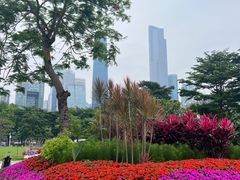 -海心沙亚运公园